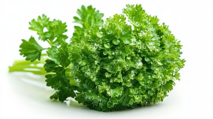 Obraz premium Fresh Parsley Leaves with Water Drops