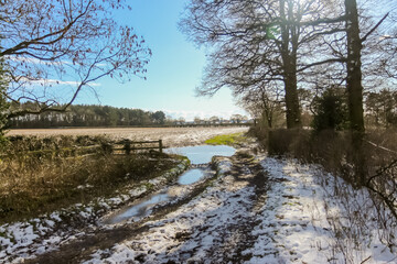 Winter scene in a park in the UK, a frosty snowy start with blue skies.
