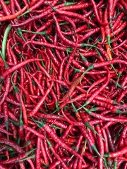 Fototapeta premium A close-up of a pile of fresh red chili peppers. The shiny surface and vibrant red color highlight their freshness and spiciness, perfect for adding heat to various dishes and recipes.