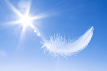 White Bird Feathers Floating in The Sky with Sunshine. Fluffy Downy. Freedom, Floating Freely, Peace. Softness of Feathers Falling in Heavenly.	
