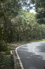 Road in Anaga Mountains Taganana Tenerife, Canary island