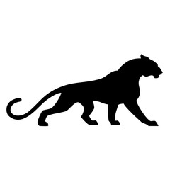 animal puma, panther 2