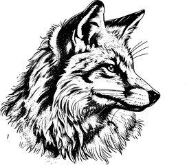 A detailed black and white drawing of a fox's head looking to the right, with intricate detail of fur, whiskers, and a watchful eye.