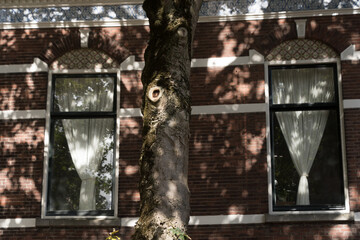 White curtains in windows of old brick mansion in Utrecht - 2