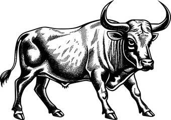 Black and white illustration of a bull with horns.