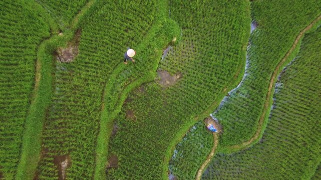 Drone Vietnam - Pu Luong - Rice fields_2