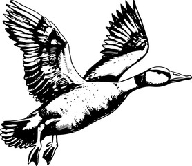 Black and white illustration of a goose flying with wings spread. © shahadatarman 0