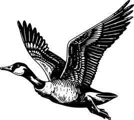 Black and white illustration of a goose with wings spread. © shahadatarman 0