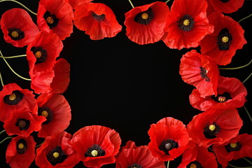 Red poppy flowers frame on black background with empty space. Poppy floral wreath with copy space for text. Banner for Remembrance Day, Poppy Day, Veterans Day, Anzac Day, 11 November and 25 April.