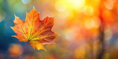 Fototapeta premium smooth blurred background of autumn leaf pattern from high angle view