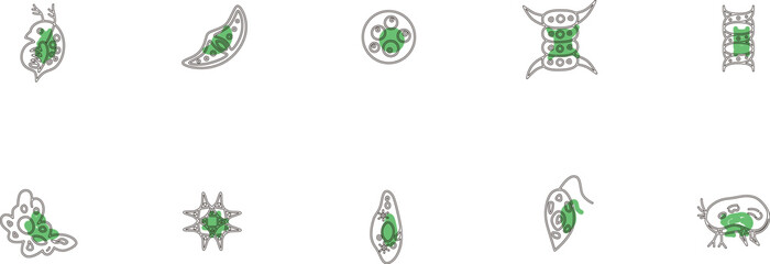 微生物アイコンセットアウトライン