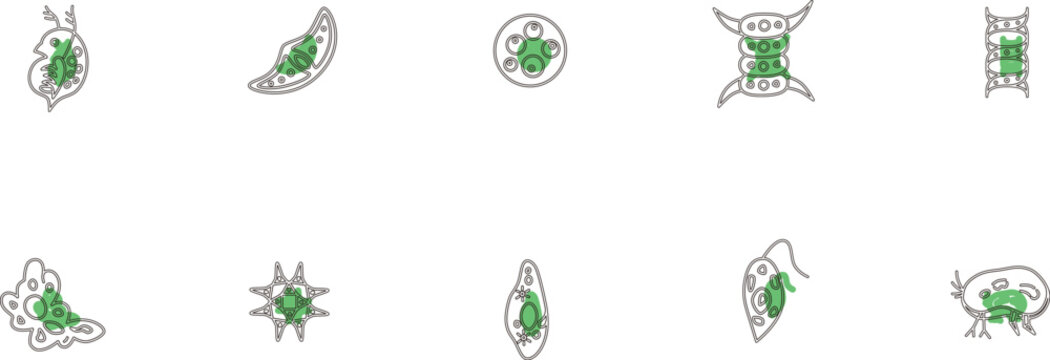 微生物アイコンセットアウトライン