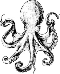 Black and white illustration of an octopus with detailed tentacles. © shahadatarman 0