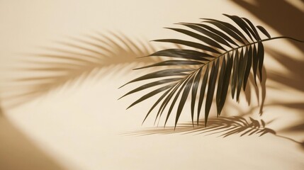 2410 108.The silhouette of a palm leaf falling gently across a beige surface, the artistic shadow interplay creating a soothing, natural composition with bohemian influences, perfect for a