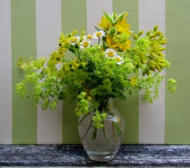 German chamomile daisy, yellow loosestrife, moneywort, rue and garden lady's-mantle flower bouquet in clear glass vase