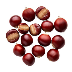 Obraz premium Ripe Red Chestnuts on a White Background