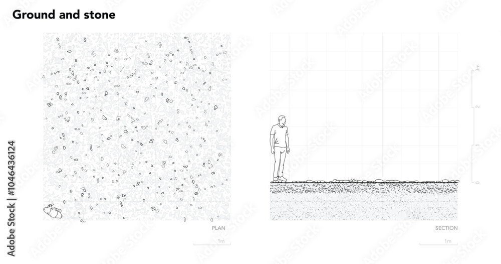 Poster architectural drawings, minimal style cad tree line drawing, side view, plan and section forest outl
