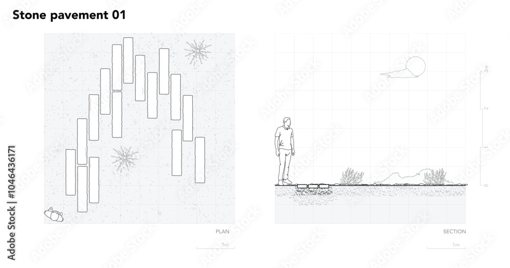 Poster architectural drawings, minimal style cad tree line drawing, side view, plan and section forest outl