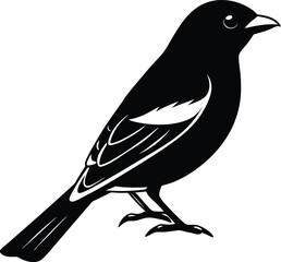 Scarlet Tanager silhouette vector