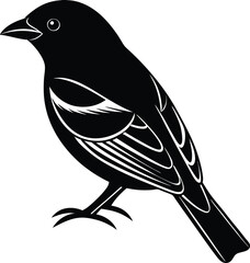 Scarlet Tanager silhouette vector