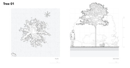 Obraz premium Architectural Drawings, Minimal style cad tree line drawing, Side view, plan and section forest outline symbol for landscape design drawing. Vector illustration in stroke fill in white.