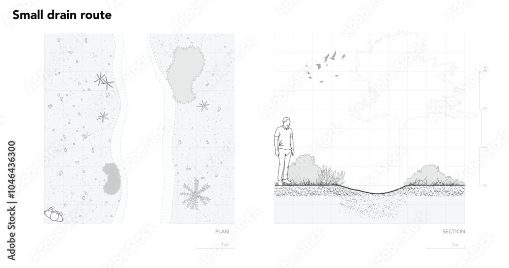 Poster architectural drawings, minimal style cad tree line drawing, side view, plan and section forest outl