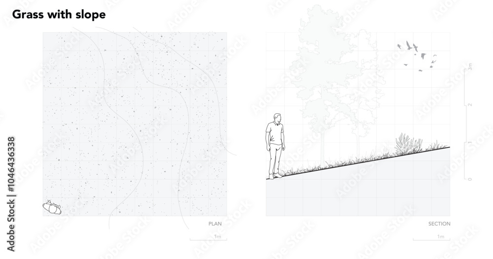 Poster architectural drawings, minimal style cad tree line drawing, side view, plan and section forest outl