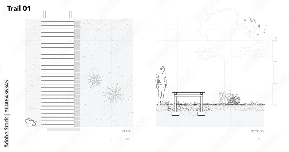Poster architectural drawings, minimal style cad tree line drawing, side view, plan and section forest outl