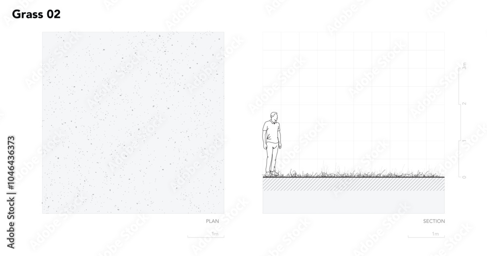 Poster architectural drawings, minimal style cad tree line drawing, side view, plan and section forest outl