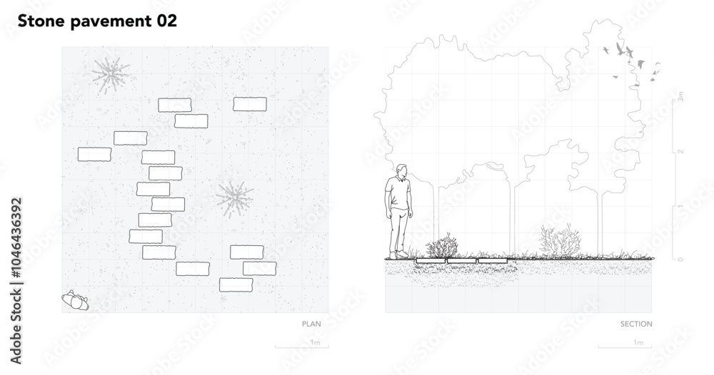 Poster architectural drawings, minimal style cad tree line drawing, side view, plan and section forest outl