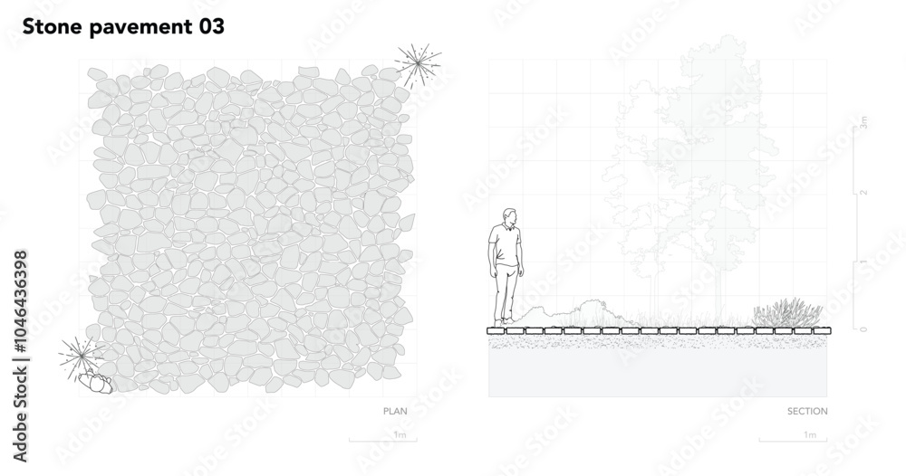 Poster architectural drawings, minimal style cad tree line drawing, side view, plan and section forest outl