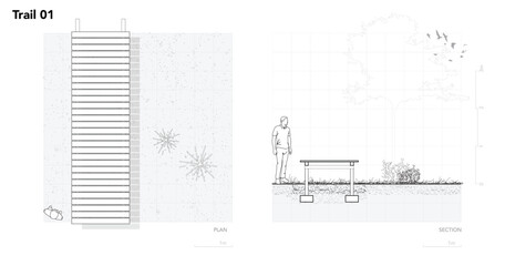 Architectural Drawings, Minimal style cad tree line drawing, Side view, plan and section forest outline symbol for landscape design drawing. Vector illustration in stroke fill in white. © feipco