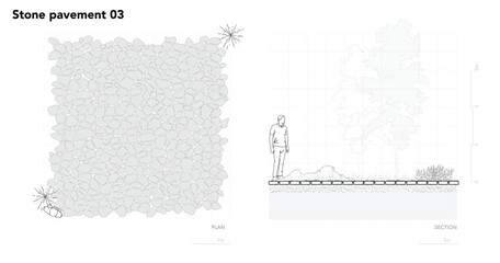 Architectural Drawings, Minimal style cad tree line drawing, Side view, plan and section forest outline symbol for landscape design drawing. Vector illustration in stroke fill in white.