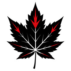 Japanese Maple Leaf Silhouette  vector illustration