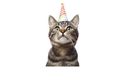 Celebrating a birthday with a joyful tabby cat wearing a colorful party hat against a transparent background.