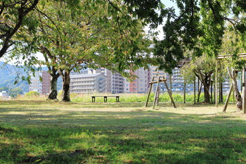 天気の良い日の公園の風景
