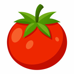 tomato illustration
