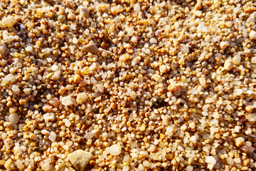 Close-Up of Colorful Beach Sand Texture for Natural Background Design