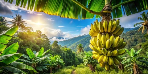 Fototapeta premium Lush Tropical Landscape with a Bunch of Bananas Underneath a Bright Blue Sky, Showcasing Vibrant Greenery and Exotic Fruits, Perfect for Nature Lovers and Food Enthusiasts