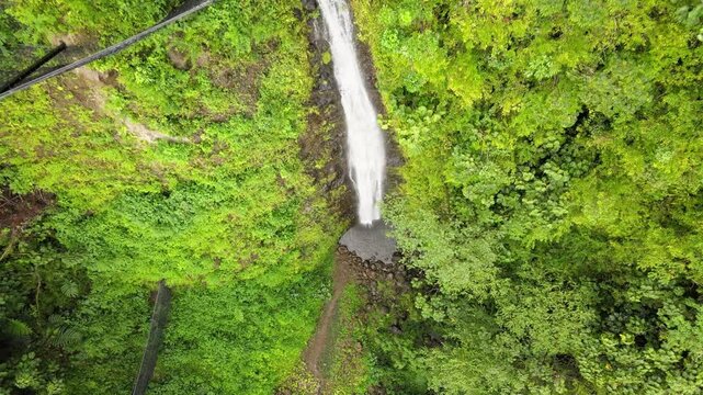 Drone Footage of Manoa Falls, Honolulu, Hawaii