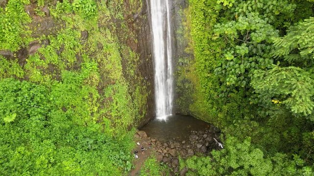 Drone Footage of Manoa Falls, Honolulu, Hawaii