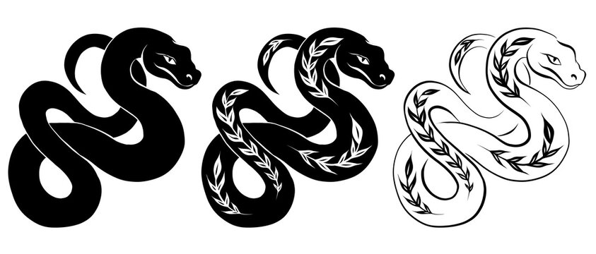 Vector monochrome tangled snake set. Collection of black outline and silhouette pythons with plant decoration isolated from background. Symbol of Chinese New Year for icons, logos