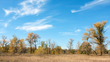 Fototapeta premium landscape with sky