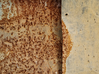 rusty aged metal door of the outdoor rural electric box background in the garden