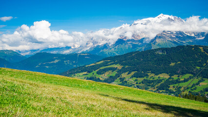 Fototapeta premium Green field on an hiking path close to the village of Megeve, France. Alps mountain chain with Mont Blanc summit (White Mountain) on the background, with blue sky.