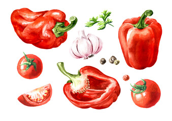 Sweet red bell pepper with vegetables and herbs, Watercolor hand painted illustration isolated on white background