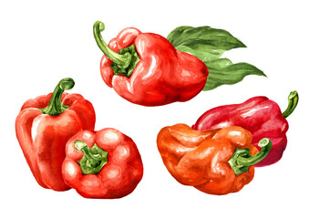 Sweet red bell pepper, Paprika set. Watercolor hand painted illustration, isolated on white background
