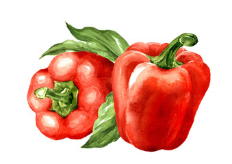 Sweet red bell pepper, Paprika,. Watercolor hand painted illustration, isolated on white background