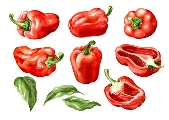 Sweet bell pepper, Paprika set. Watercolor hand painted illustration, isolated on white background