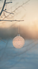 Christmas ball on tree outdoors, creative photo, new year, christmas